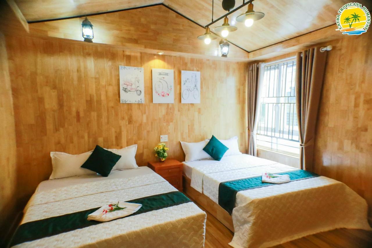Cat Ba Tropicana Homestay 깟바 외부 사진